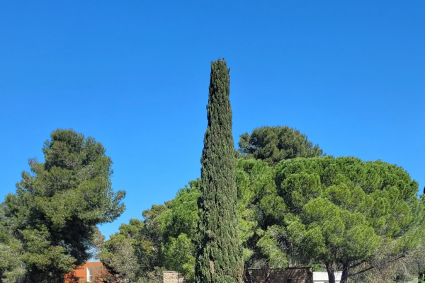 F1-8710-91-Vue