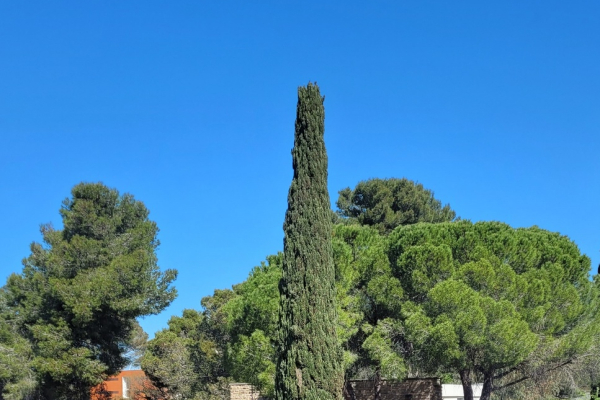 F1-8710-91-Vue